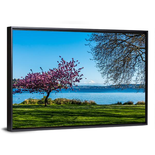 Cherry Tree Near Lake Canvas Wall Art-3 Horizontal-Gallery Wrap-25" x 16"-Tiaracle