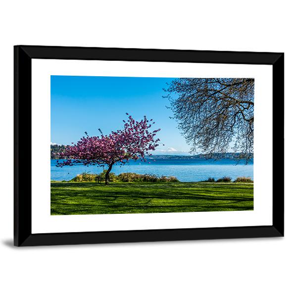 Cherry Tree Near Lake Canvas Wall Art-3 Horizontal-Gallery Wrap-25" x 16"-Tiaracle