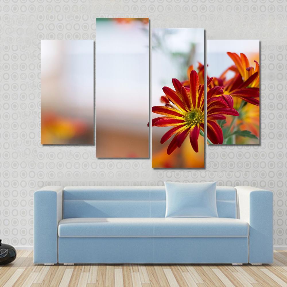 Chrysanthemum Under Sky Canvas Wall Art-4 Pop-Gallery Wrap-50" x 32"-Tiaracle