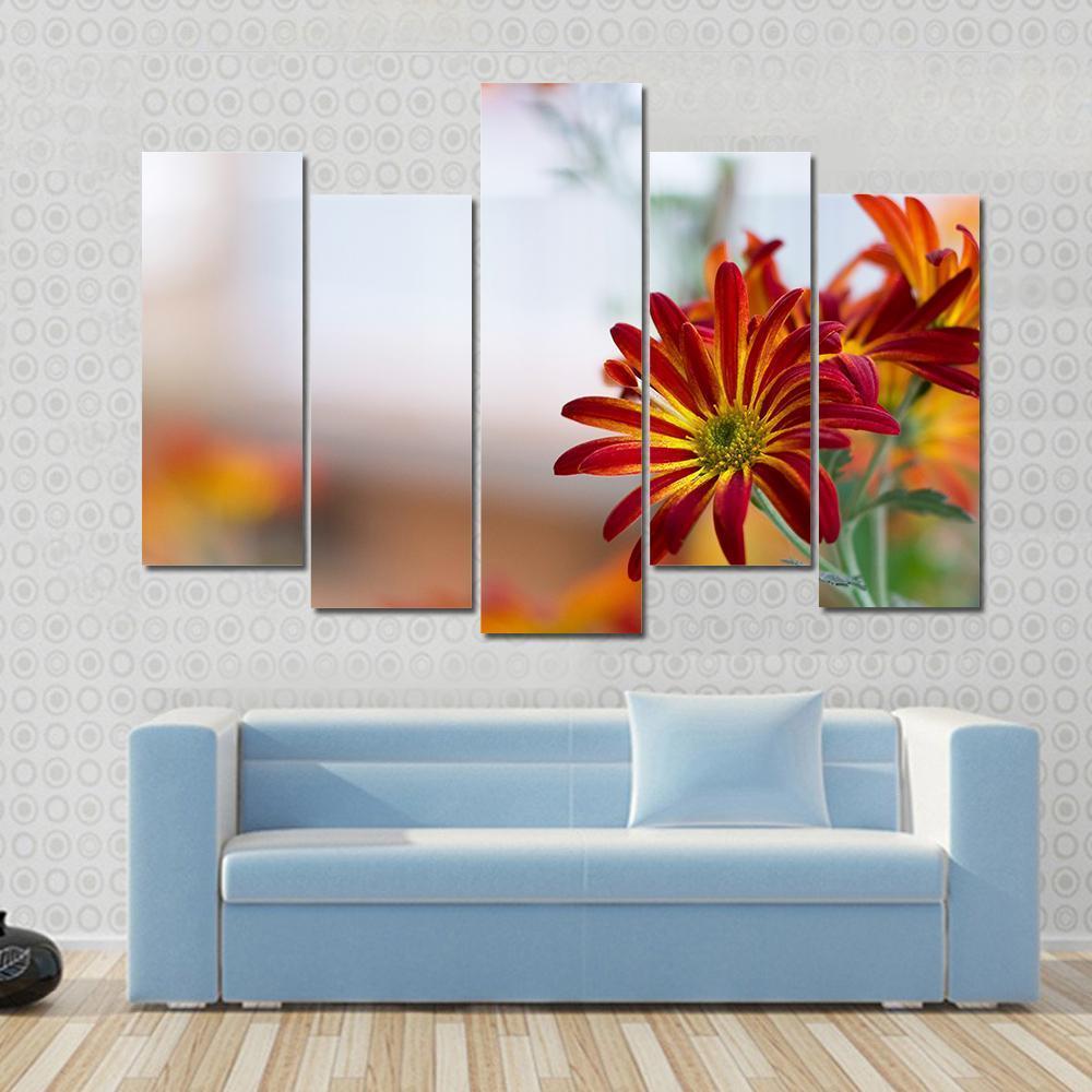Chrysanthemum Under Sky Canvas Wall Art-5 Pop-Gallery Wrap-47" x 32"-Tiaracle