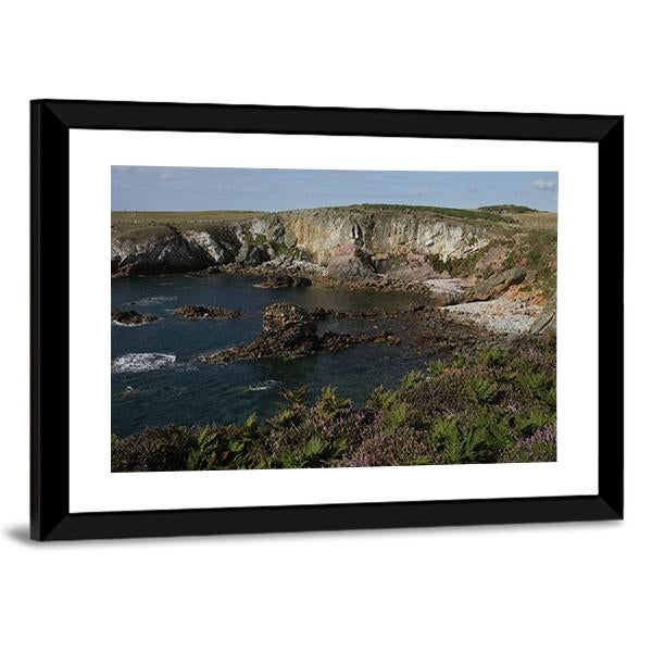 Cliff Top Plants Canvas Wall Art-5 Horizontal-Gallery Wrap-22" x 12"-Tiaracle