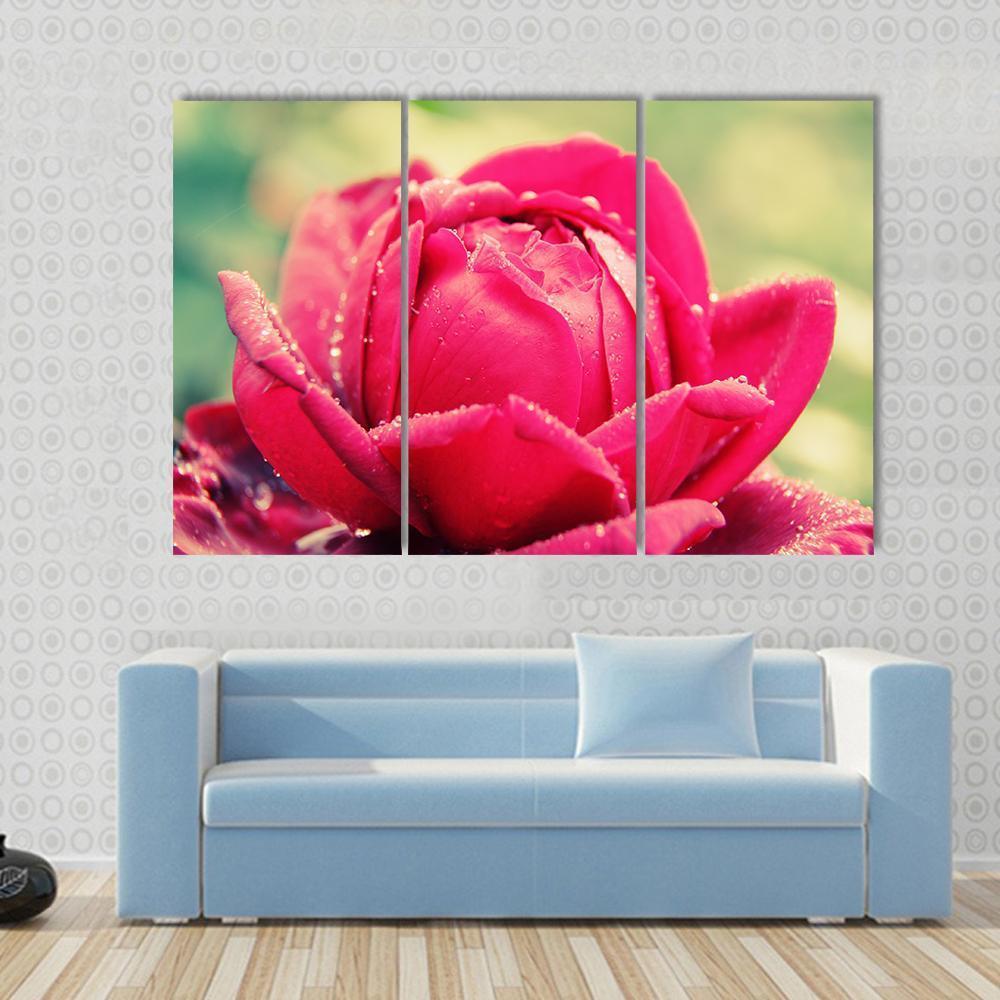 Close Up Of Flower Canvas Wall Art-3 Horizontal-Gallery Wrap-37" x 24"-Tiaracle
