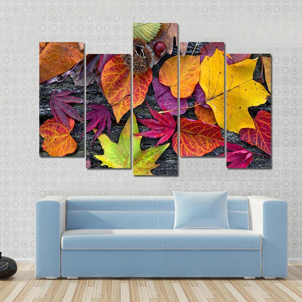Colorful Autumn Leaves Canvas Wall Art-5 Pop-Gallery Wrap-47" x 32"-Tiaracle