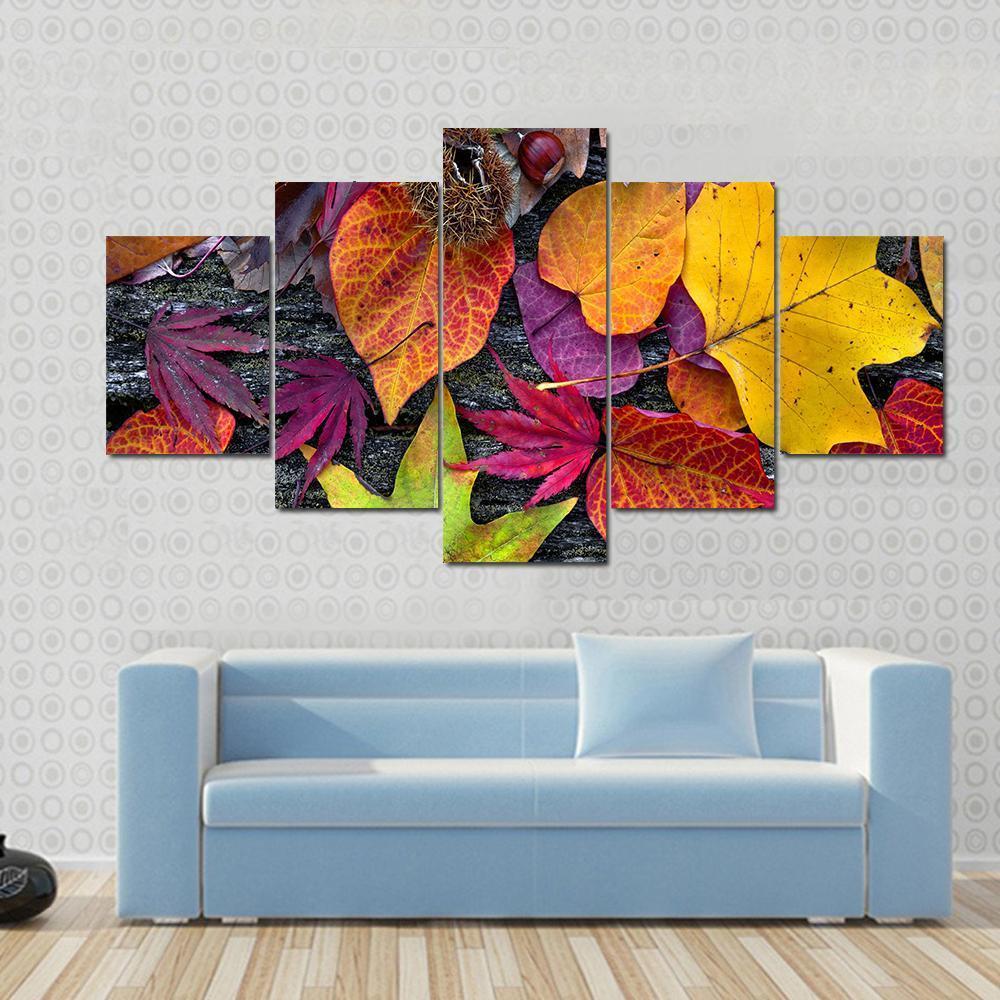 Colorful Autumn Leaves Canvas Wall Art-5 Star-Gallery Wrap-62" x 32"-Tiaracle
