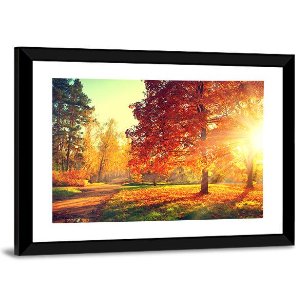 Colorful Autumn Morning Canvas Wall Art-3 Horizontal-Gallery Wrap-25" x 16"-Tiaracle