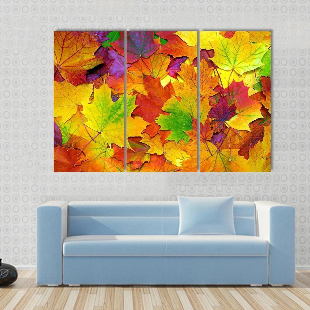Colorful Leaves Canvas Wall Art-3 Horizontal-Gallery Wrap-37" x 24"-Tiaracle