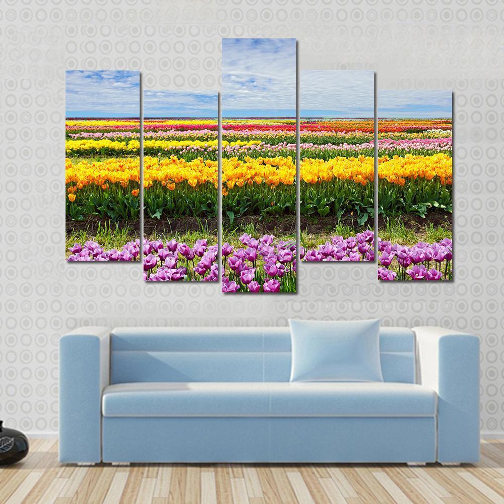 Colorful Tulips Canvas Wall Art-5 Pop-Gallery Wrap-47" x 32"-Tiaracle