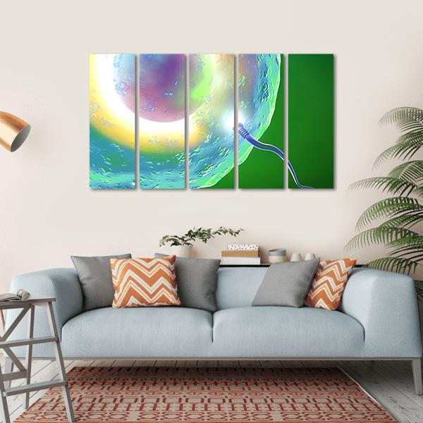 Conception Ovum And Sperm Canvas Wall Art-5 Horizontal-Gallery Wrap-22" x 12"-Tiaracle