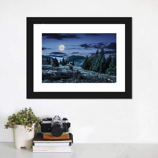 Coniferous Forest At Night Canvas Wall Art-1 Piece-Framed Print-30" x 20"-Tiaracle