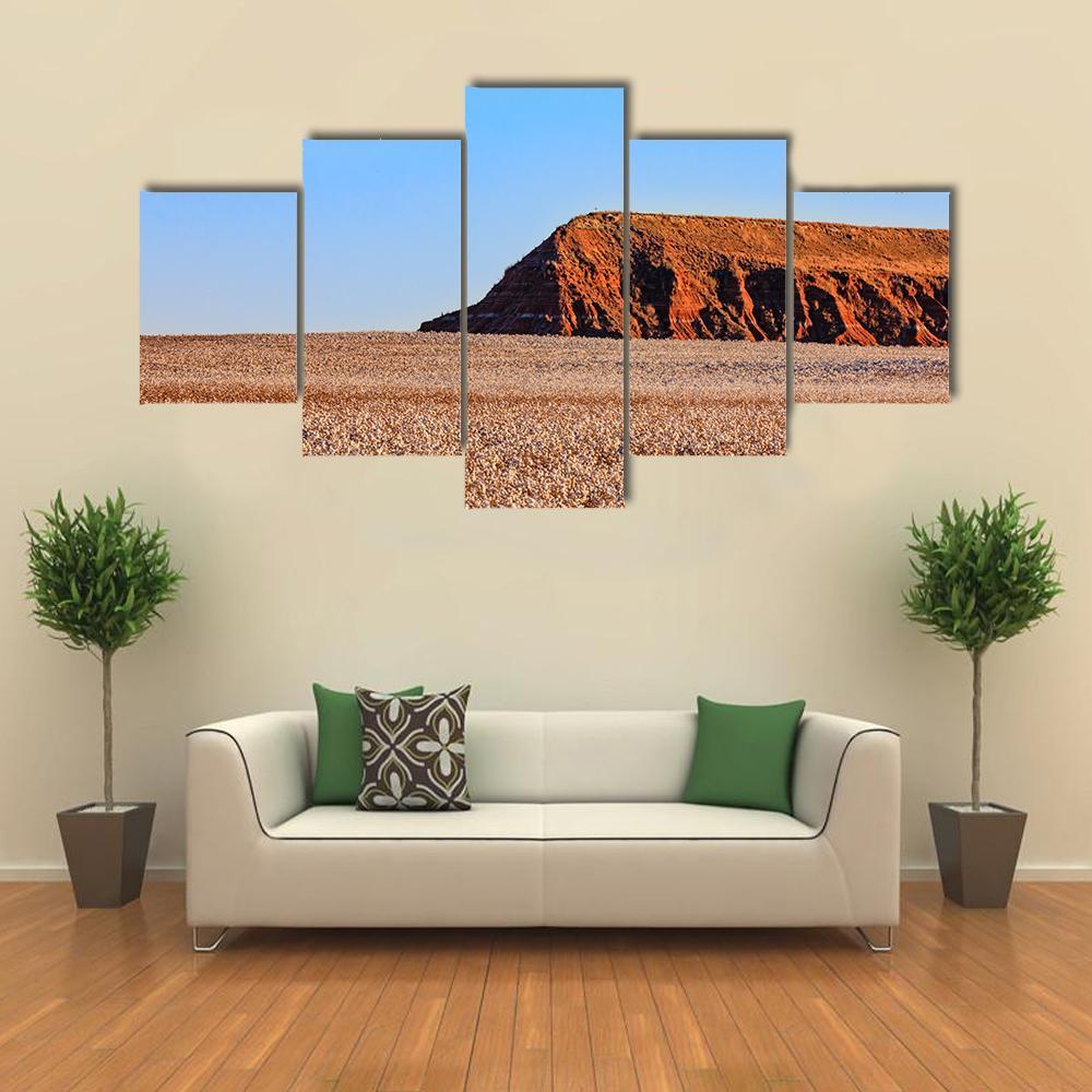 Connon Field Oklahoma Canvas Wall Art-5 Star-Gallery Wrap-62" x 32"-Tiaracle