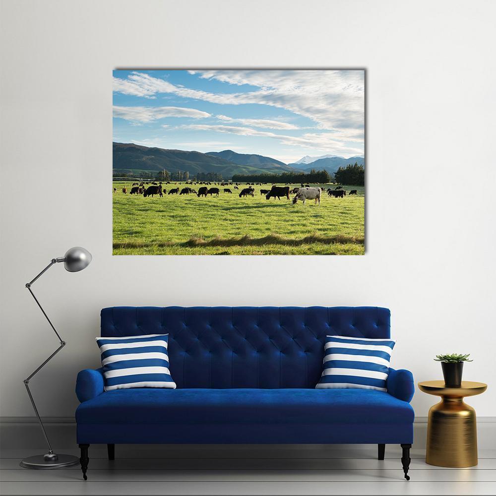 Cows In Green Field Canvas Wall Art-3 Horizontal-Gallery Wrap-25" x 16"-Tiaracle