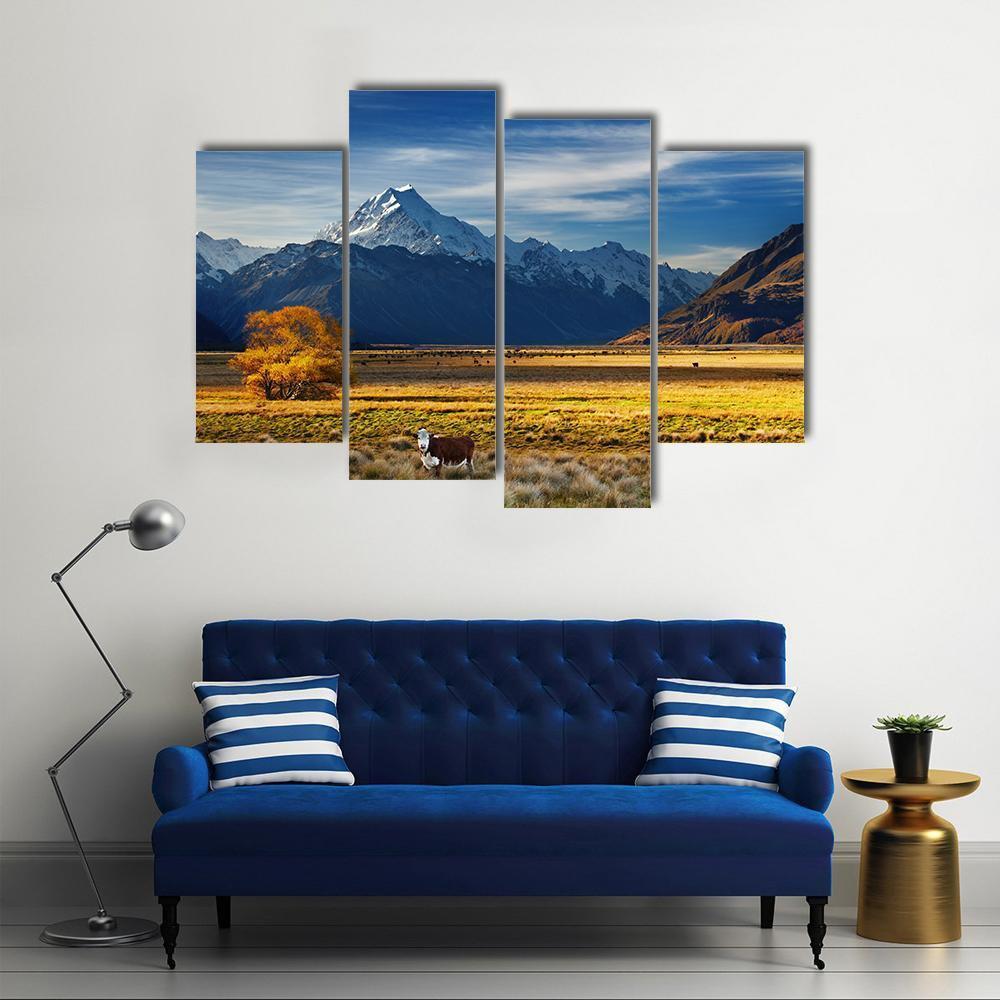 Cows Near Mount Cook Canvas Wall Art-4 Pop-Gallery Wrap-50" x 32"-Tiaracle