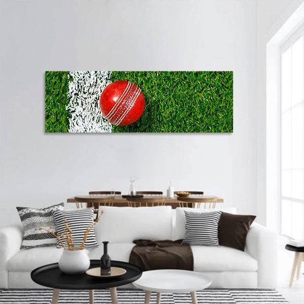 Cricket Ball On Grass Panoramic Canvas Wall Art-1 Piece-36" x 12"-Tiaracle