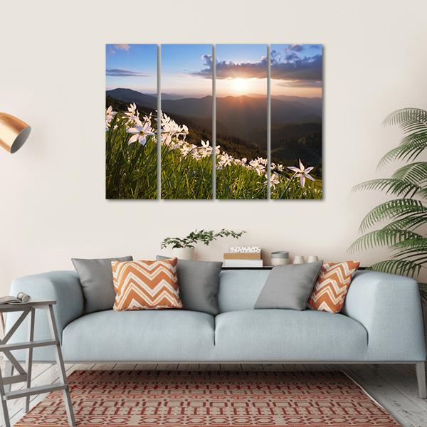 Daffodils On Mountain Canvas Wall Art-4 Horizontal-Gallery Wrap-34" x 24"-Tiaracle