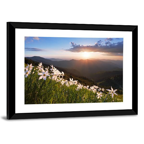 Daffodils On Mountain Canvas Wall Art-3 Horizontal-Gallery Wrap-25" x 16"-Tiaracle