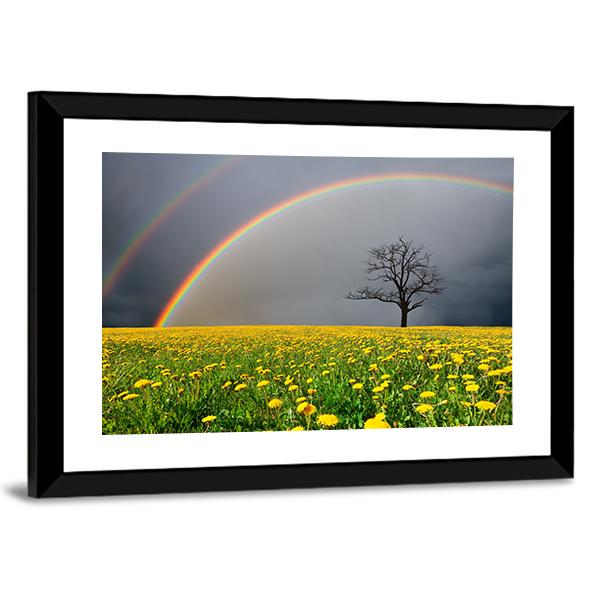 Dandelion Field With Rainbow Canvas Wall Art-5 Horizontal-Gallery Wrap-22" x 12"-Tiaracle