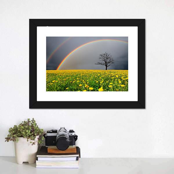 Dandelion Field With Rainbow Canvas Wall Art-5 Horizontal-Gallery Wrap-22" x 12"-Tiaracle