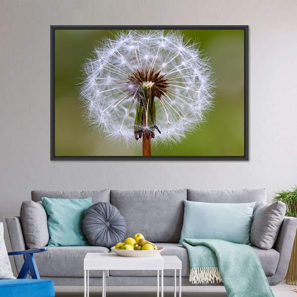Dandelion Seeds Ball Canvas Wall Art-3 Horizontal-Gallery Wrap-25" x 16"-Tiaracle