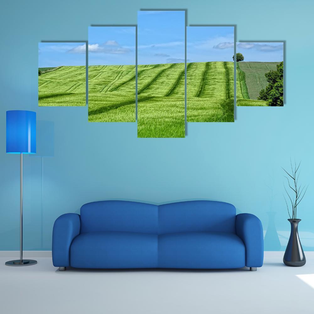 Danish Countryside Canvas Wall Art-5 Star-Gallery Wrap-62" x 32"-Tiaracle