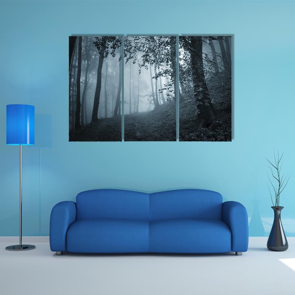 Dark Foggy Forest Canvas Wall Art-3 Horizontal-Gallery Wrap-37" x 24"-Tiaracle