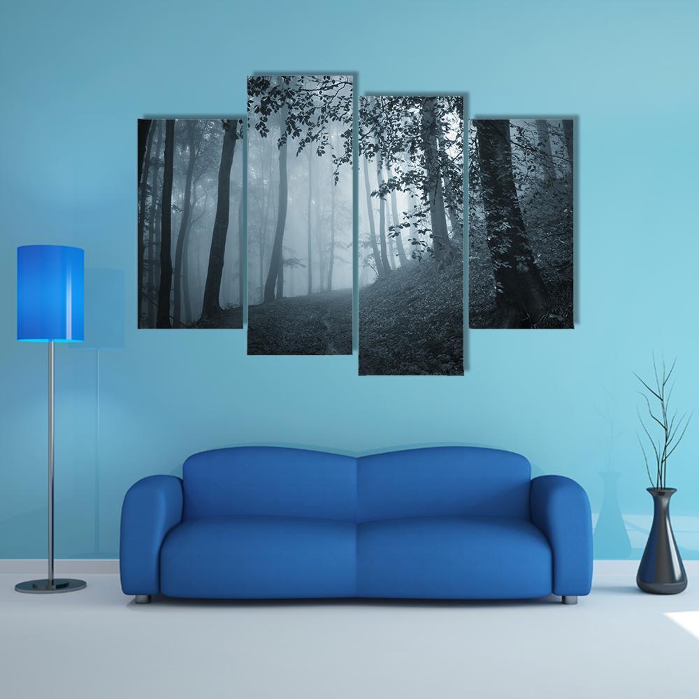 Dark Foggy Forest Canvas Wall Art-4 Pop-Gallery Wrap-50" x 32"-Tiaracle