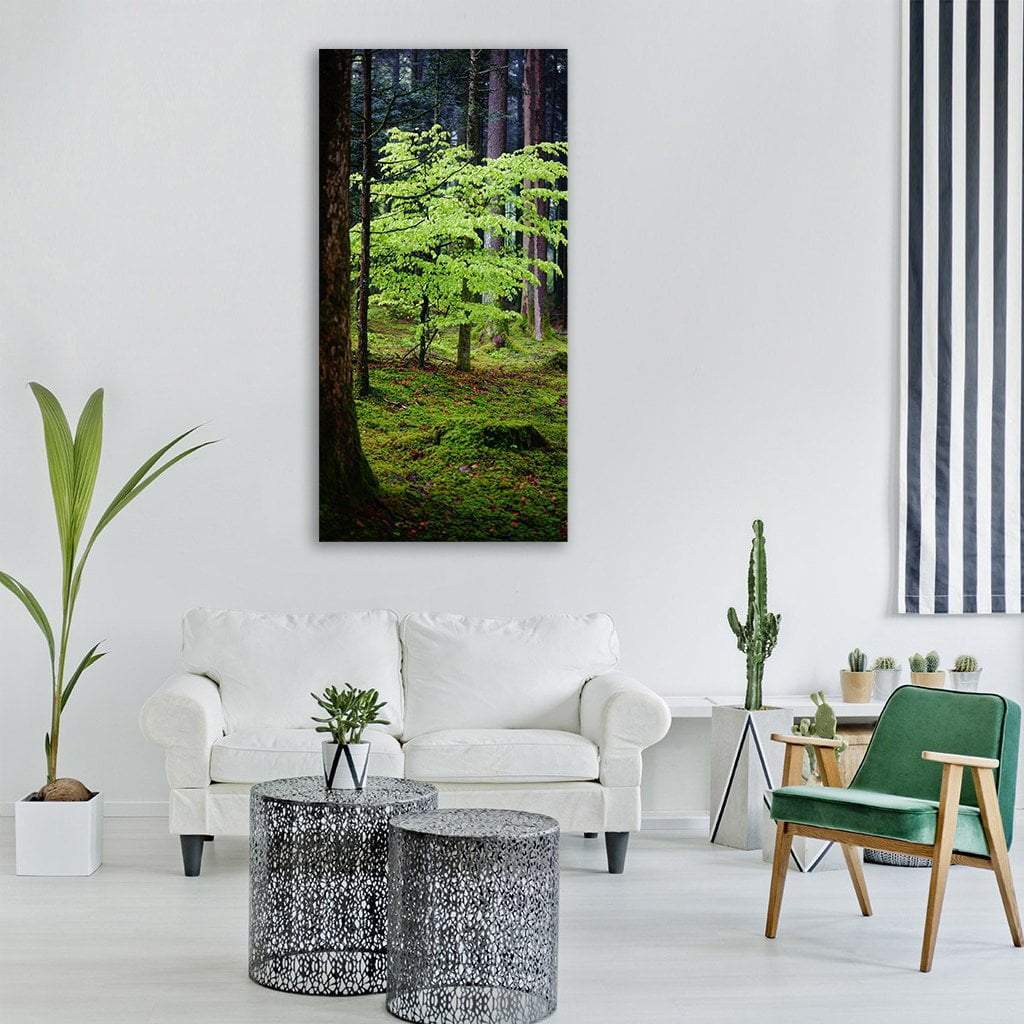 Dark Forest Vertical Canvas Wall Art-1 Vertical-Gallery Wrap-12" x 24"-Tiaracle