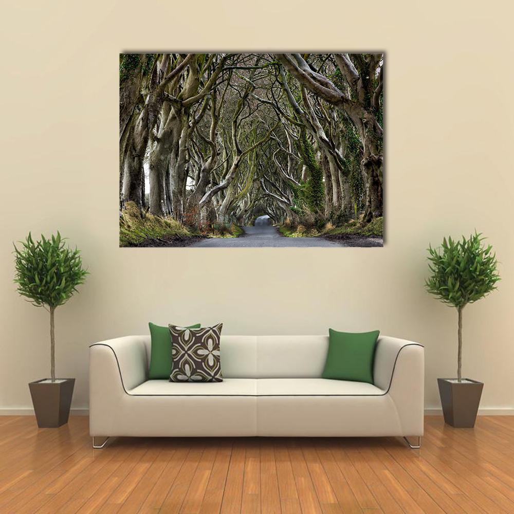 Dark Hedges Canvas Wall Art-1 Piece-Gallery Wrap-36" x 24"-Tiaracle