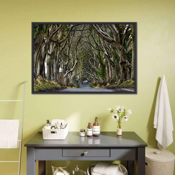 Dark Hedges Canvas Wall Art-3 Horizontal-Gallery Wrap-25" x 16"-Tiaracle