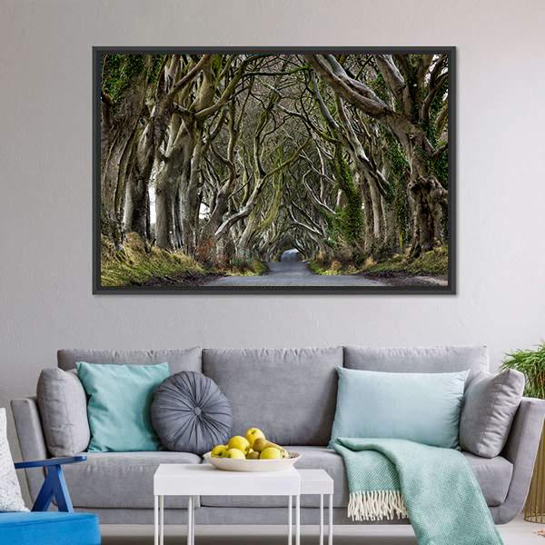 Dark Hedges Canvas Wall Art-3 Horizontal-Gallery Wrap-25" x 16"-Tiaracle