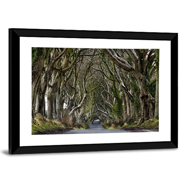 Dark Hedges Canvas Wall Art-3 Horizontal-Gallery Wrap-25" x 16"-Tiaracle