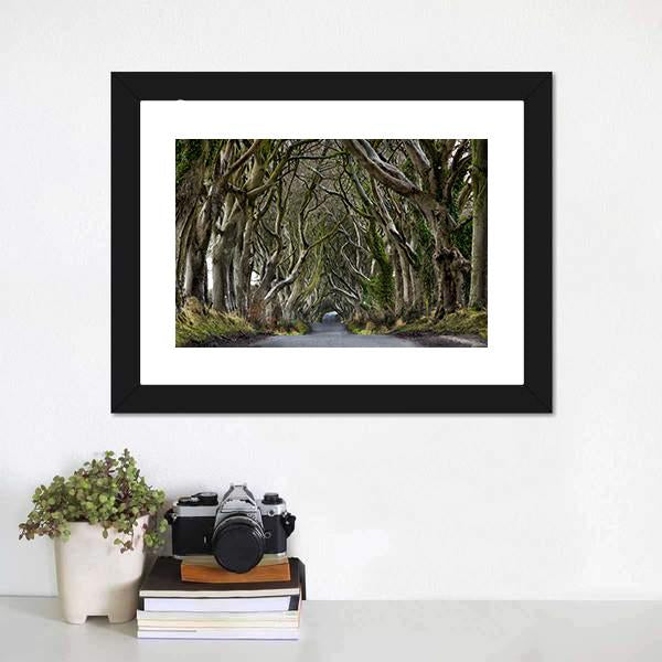 Dark Hedges Canvas Wall Art-3 Horizontal-Gallery Wrap-25" x 16"-Tiaracle