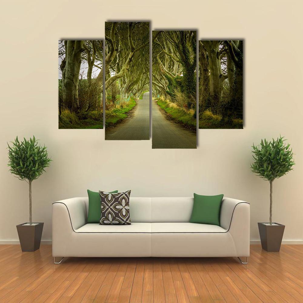 Dark Hedges With Road Canvas Wall Art-4 Pop-Gallery Wrap-50" x 32"-Tiaracle