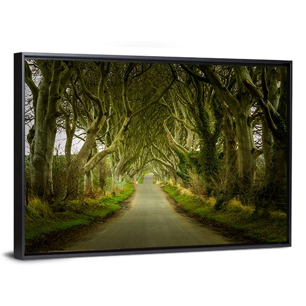 Dark Hedges With Road Canvas Wall Art-3 Horizontal-Gallery Wrap-25" x 16"-Tiaracle