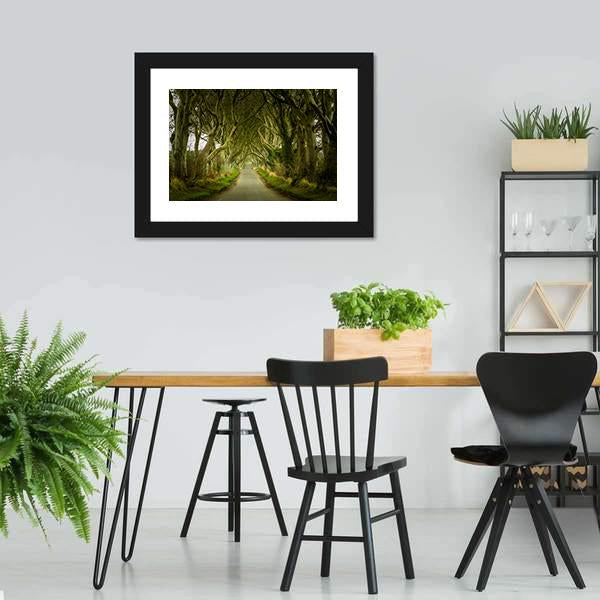 Dark Hedges With Road Canvas Wall Art-3 Horizontal-Gallery Wrap-25" x 16"-Tiaracle