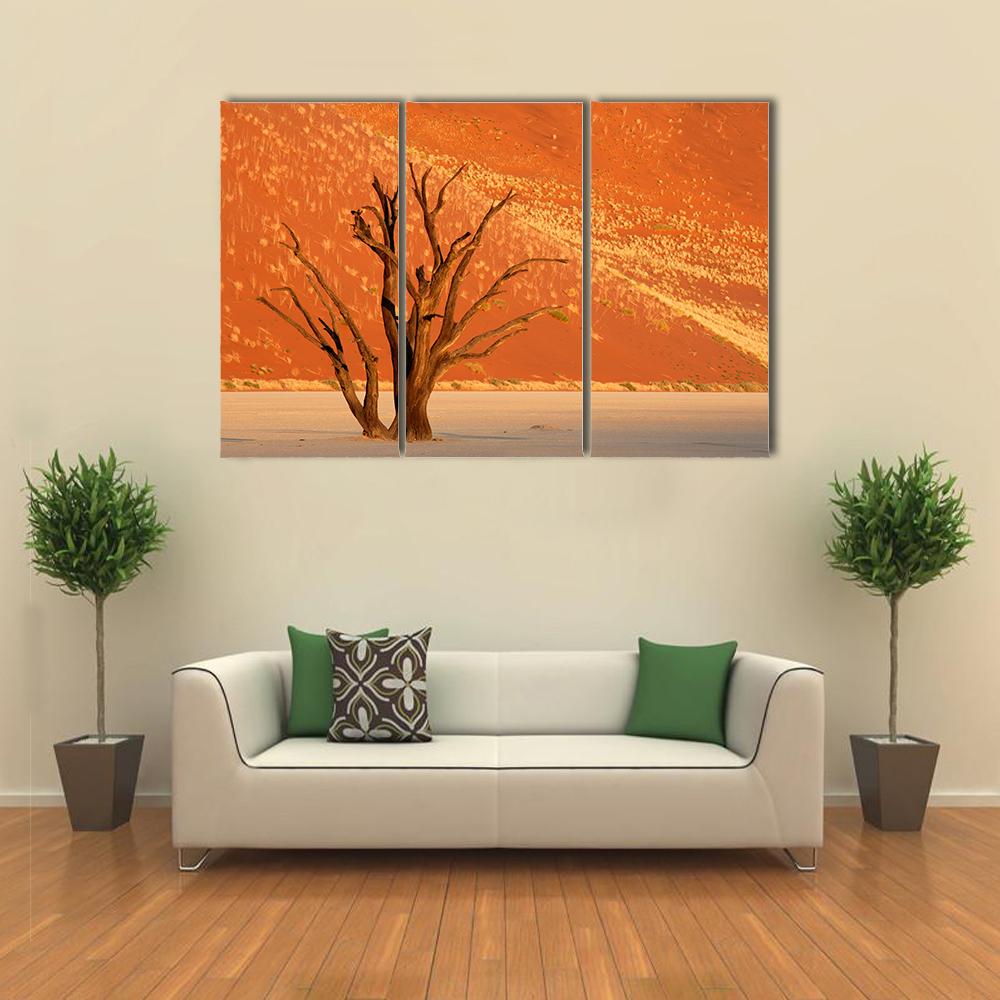 Dead Acacia Tree Against Red Sand Dune Namibia Canvas Wall Art-3 Horizontal-Gallery Wrap-25" x 16"-Tiaracle