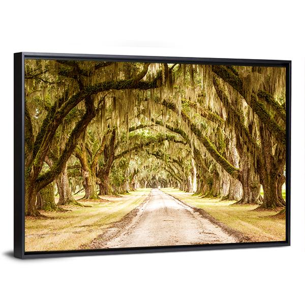 Dirt Road Forest Canvas Wall Art-5 Horizontal-Gallery Wrap-22" x 12"-Tiaracle