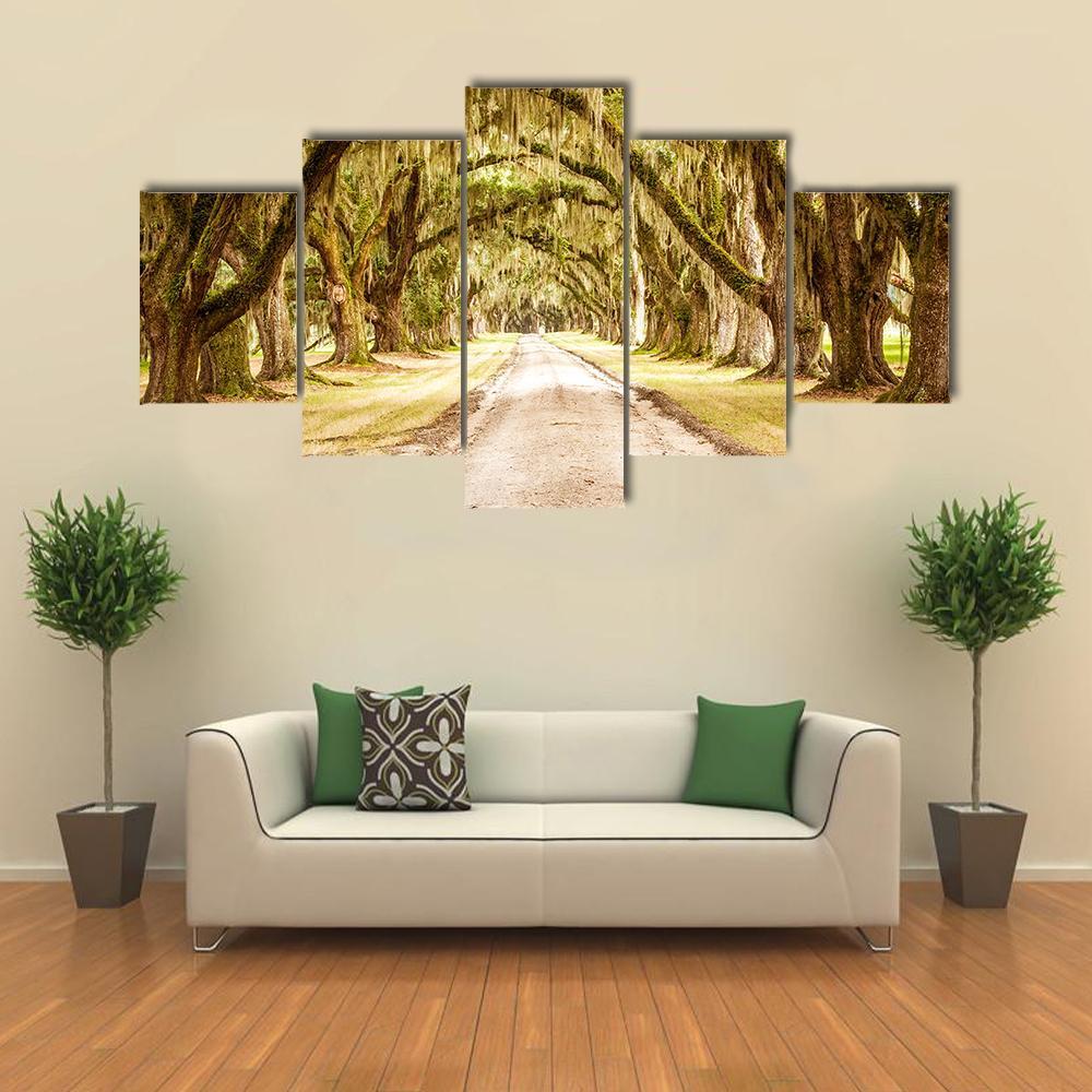 Dirt Road Forest Canvas Wall Art-3 Horizontal-Gallery Wrap-25" x 16"-Tiaracle