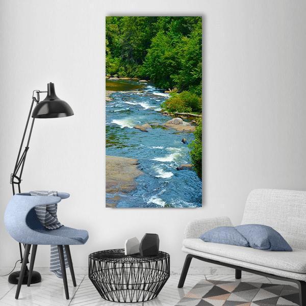 Dupont Forest Waterfall Vertical Canvas Wall Art-1 Vertical-Gallery Wrap-12" x 24"-Tiaracle