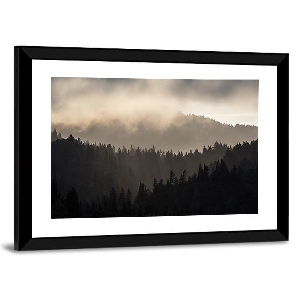 Endless Forest In Humboldt Canvas Wall Art-5 Horizontal-Gallery Wrap-22" x 12"-Tiaracle
