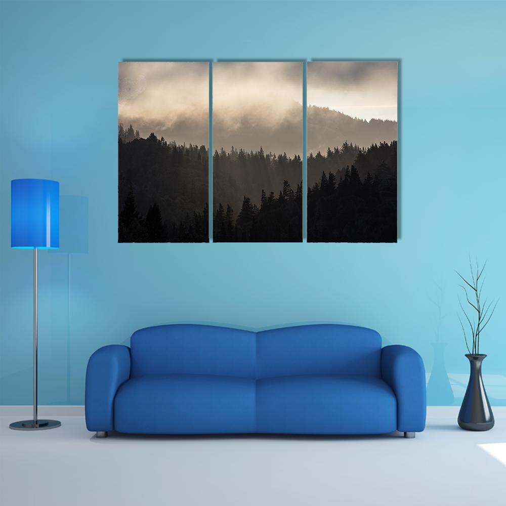 Endless Forest In Humboldt Canvas Wall Art-3 Horizontal-Gallery Wrap-25" x 16"-Tiaracle