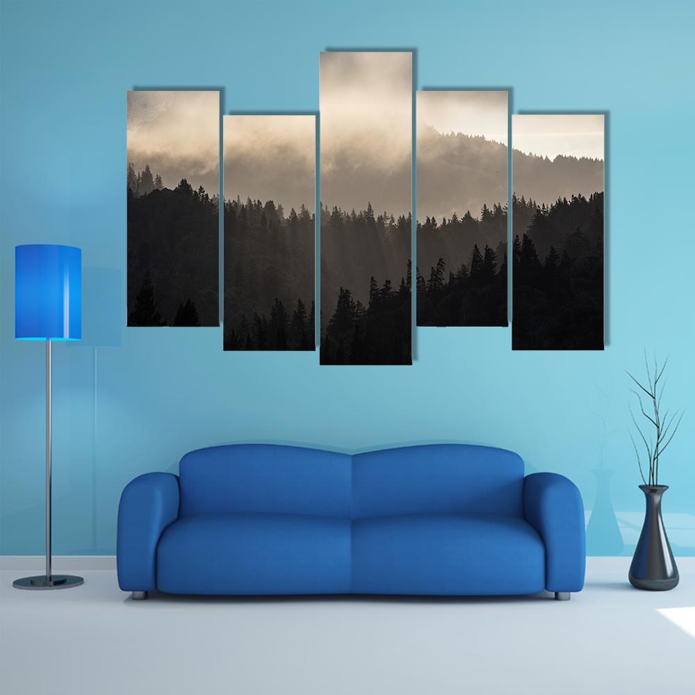 Endless Forest In Humboldt Canvas Wall Art-5 Pop-Gallery Wrap-32" x 21"-Tiaracle