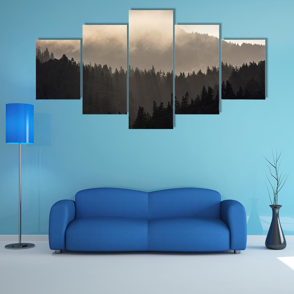 Endless Forest In Humboldt Canvas Wall Art-5 Star-Gallery Wrap-42" x 21"-Tiaracle