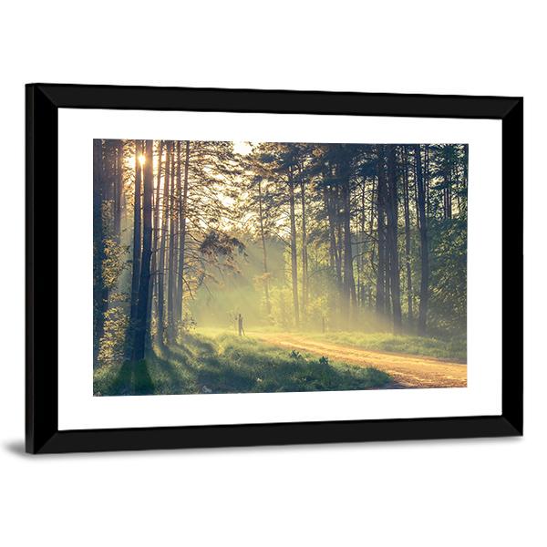 Evening Forest With Sun Canvas Wall Art-5 Horizontal-Gallery Wrap-22" x 12"-Tiaracle