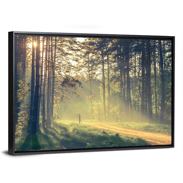 Evening Forest With Sun Canvas Wall Art-5 Horizontal-Gallery Wrap-22" x 12"-Tiaracle