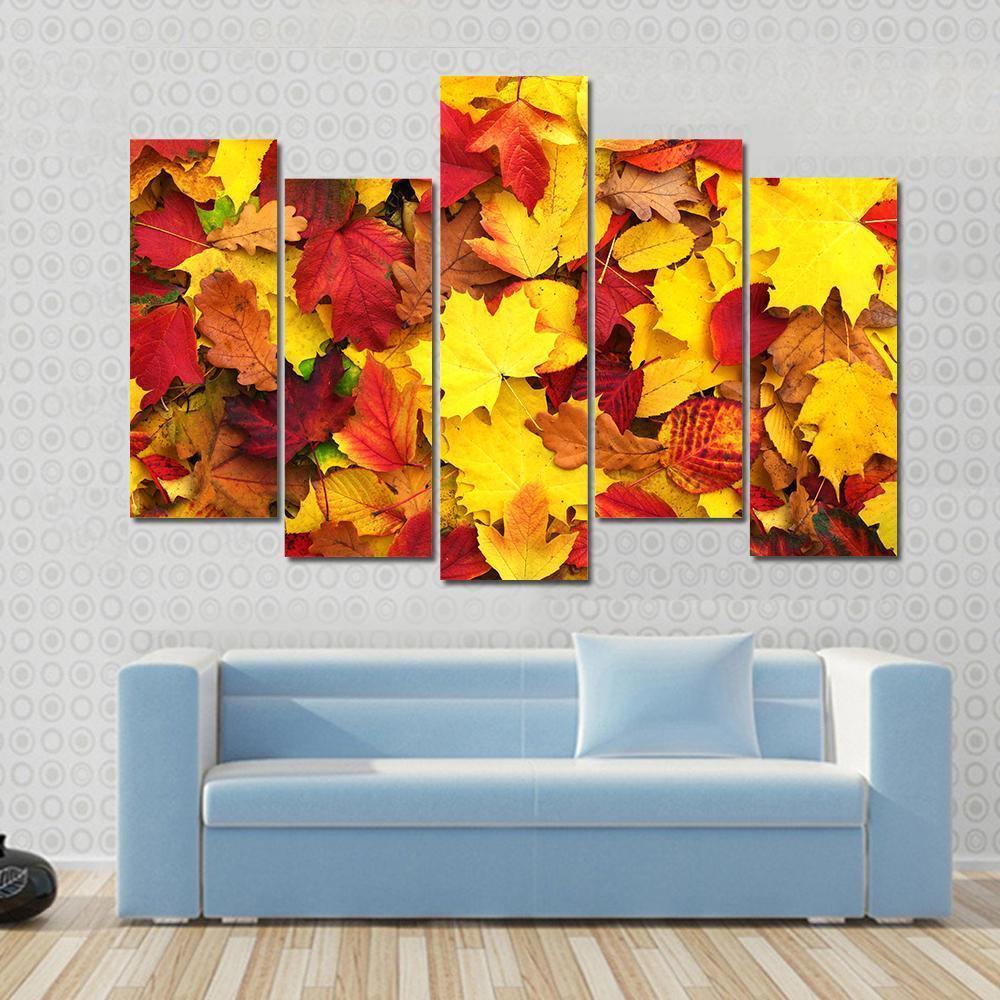 Fallen Autumn Leaves Canvas Wall Art-5 Star-Gallery Wrap-62" x 32"-Tiaracle