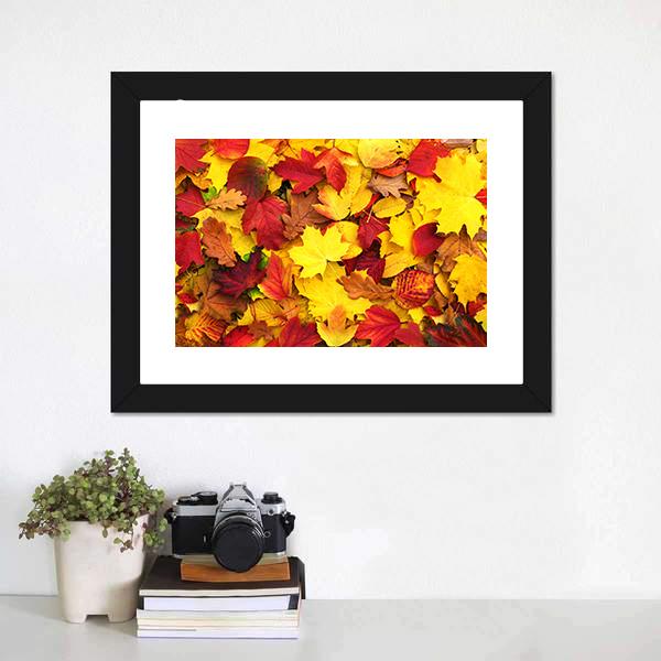 Fallen Autumn Leaves Canvas Wall Art-1 Piece-Framed Print-20" x 16"-Tiaracle
