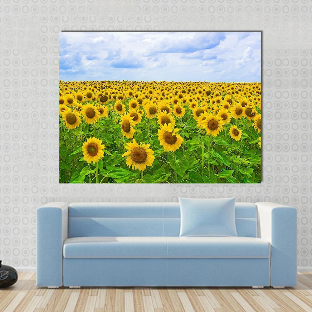 Field Of Sunflower Canvas Wall Art-5 Star-Gallery Wrap-62" x 32"-Tiaracle