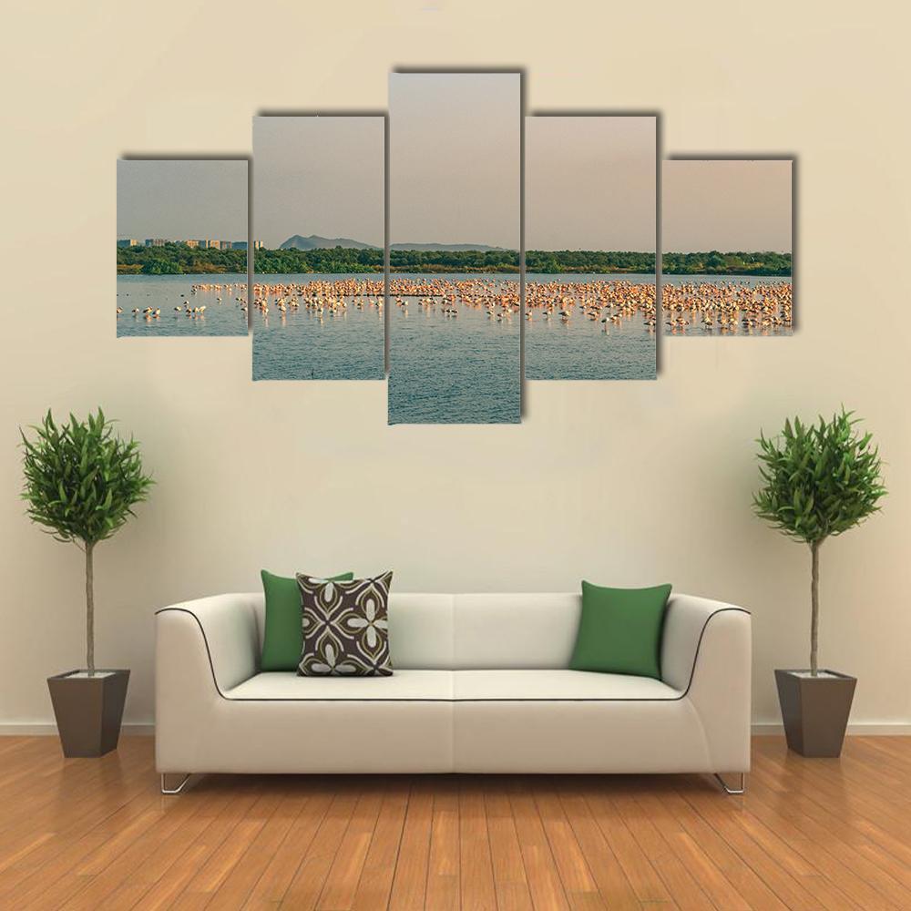Flamingos Resting On Lake Canvas Wall Art-5 Star-Gallery Wrap-62" x 32"-Tiaracle