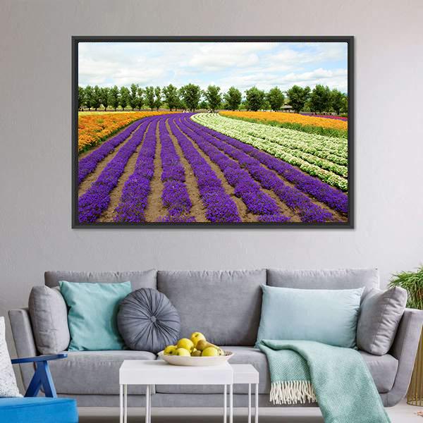 Flower Field Hokkaido Canvas Wall Art-5 Horizontal-Gallery Wrap-22" x 12"-Tiaracle
