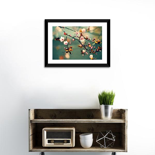 Flowering Japanese Cherry Canvas Wall Art-1 Piece-Framed Print-20" x 16"-Tiaracle